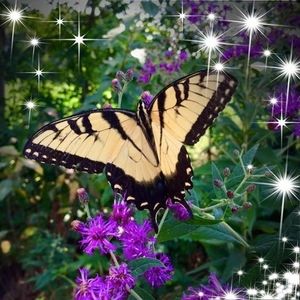 Meet your Posher, Deanna